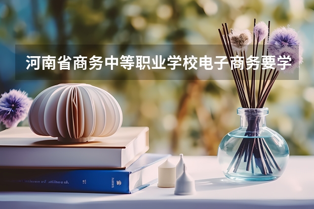 河南省商务中等职业学校电子商务要学几门课程 专业能力要求是什么