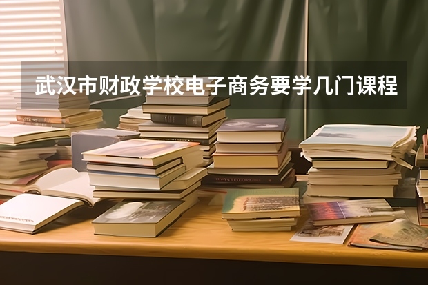 武汉市财政学校电子商务要学几门课程 专业能力要求是什么