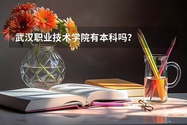 武汉职业技术学院有本科吗？