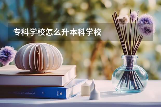 专科学校怎么升本科学校