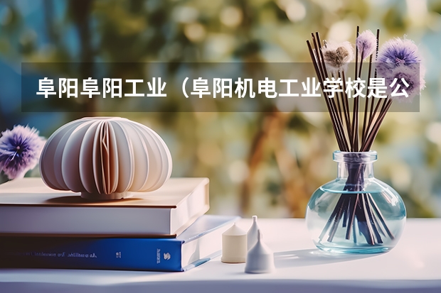 阜阳阜阳工业（阜阳机电工业学校是公办还是民办学校？）