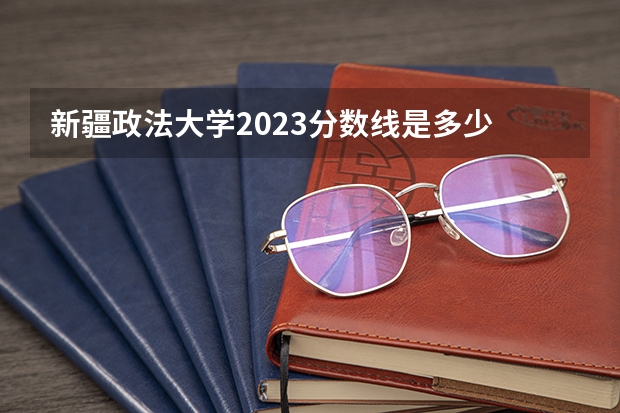 新疆政法大学2023分数线是多少