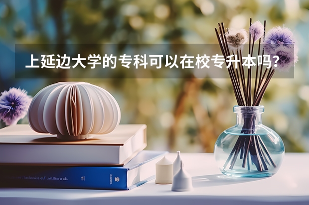 上延边大学的专科可以在校专升本吗？