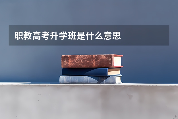 职教高考升学班是什么意思