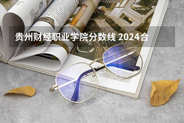 贵州财经职业学院分数线 2024合肥财经职业学院各专业录取分数线