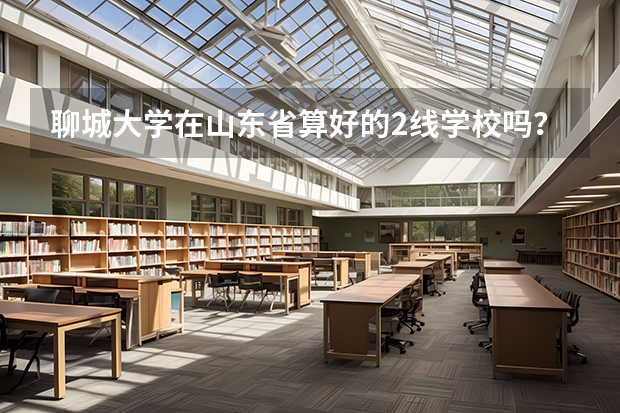 聊城大学在山东省算好的2线学校吗？