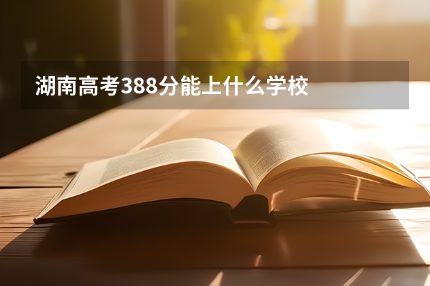 湖南高考388分能上什么学校