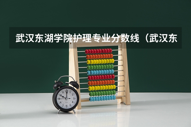 武汉东湖学院护理专业分数线（武汉东湖学院法学专业分数线）