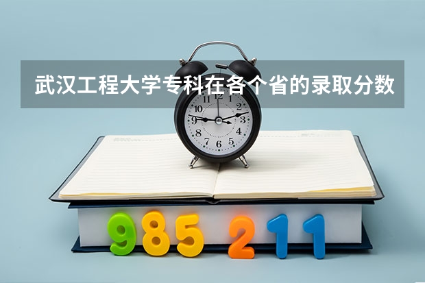 武汉工程大学专科在各个省的录取分数线是多少啊？