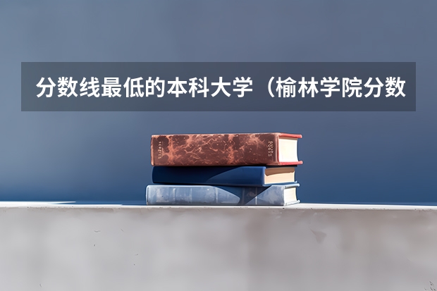 分数线最低的本科大学（榆林学院分数线）