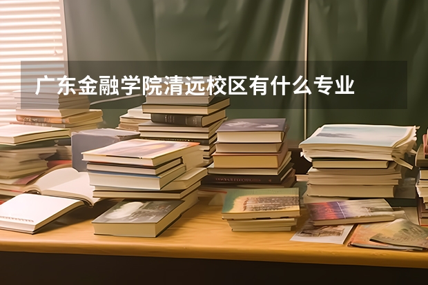 广东金融学院清远校区有什么专业