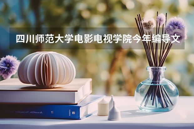 四川师范大学电影电视学院今年编导文化课分数线是多少？