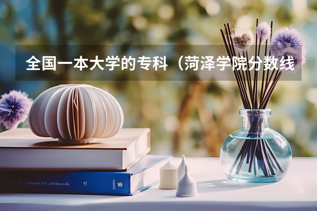 全国一本大学的专科（菏泽学院分数线）