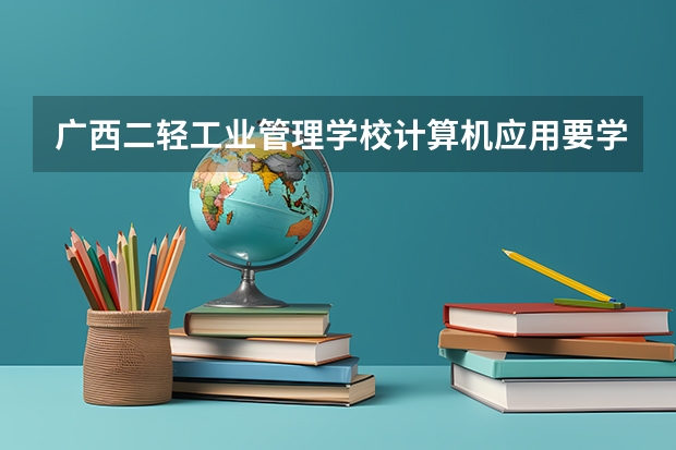 广西二轻工业管理学校计算机应用要学几门课程 专业能力要求是什么